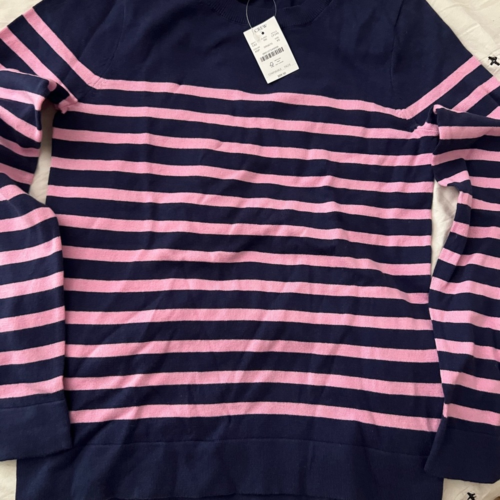 J Crew Navy and Pink Striped Sweater